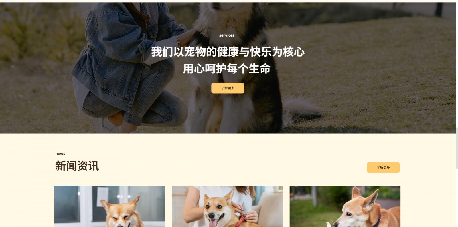 模板图片 2