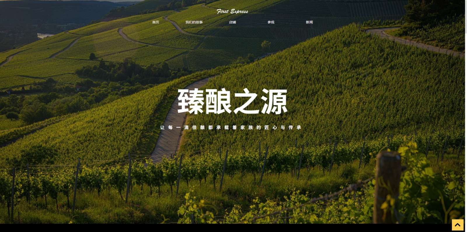模板图片 1